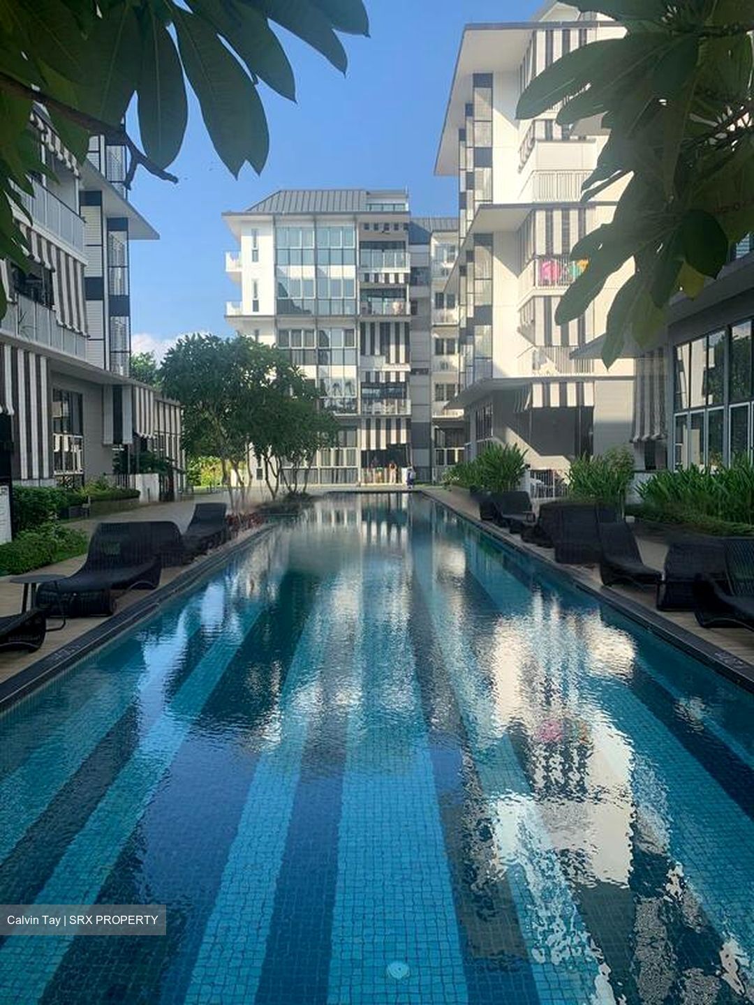 The Verandah Residences (D5), Apartment #466407421